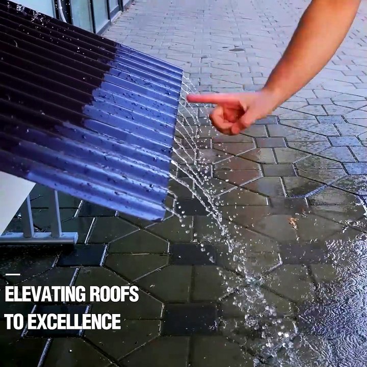 Elevating Roofs to Excellence!