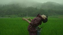 Little Forest Summer Autumn (2014) FULL HD ENG SUB