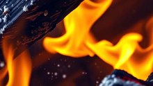 The Waco Siege: 76 Deaths Nobody Discusses
