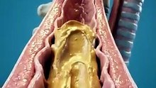 Eat Peanut Butter See What Happens to Your Body healthtips nutrition shorts