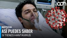 Así puedes saber si tienes Hantavirus. Todo lo que debes saber de esta amenaza.