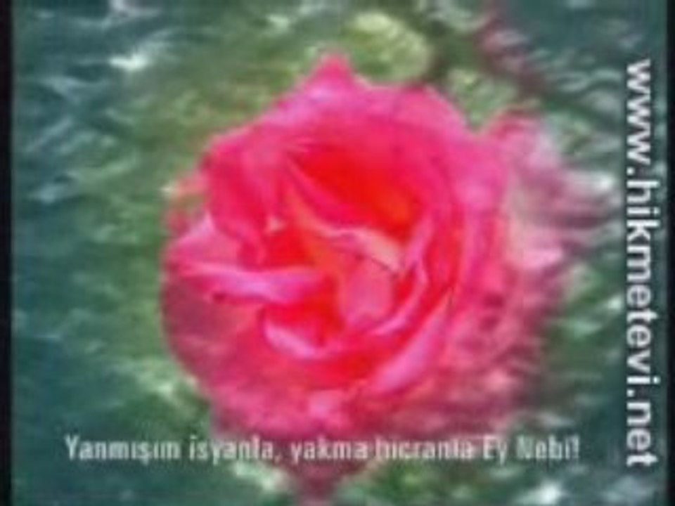 Dursun ali erzincanlı--inleyen bir nayım