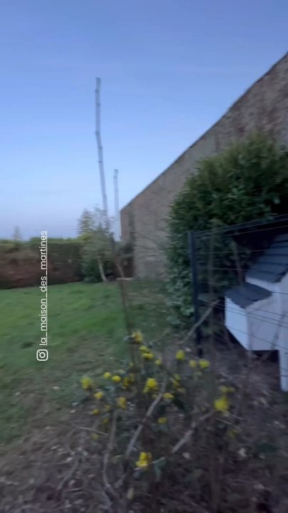 @la_maison_des_martines présente la superbe construction artisanale de leur poulailler pour permettre à leurs poules d’être dans un confort digne de ce nom ! 🐔