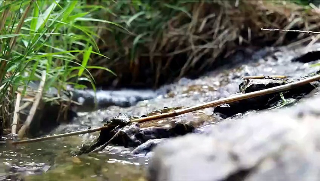 Deep Relaxation Ambient Sounds for Inner Peace – 1 Hour