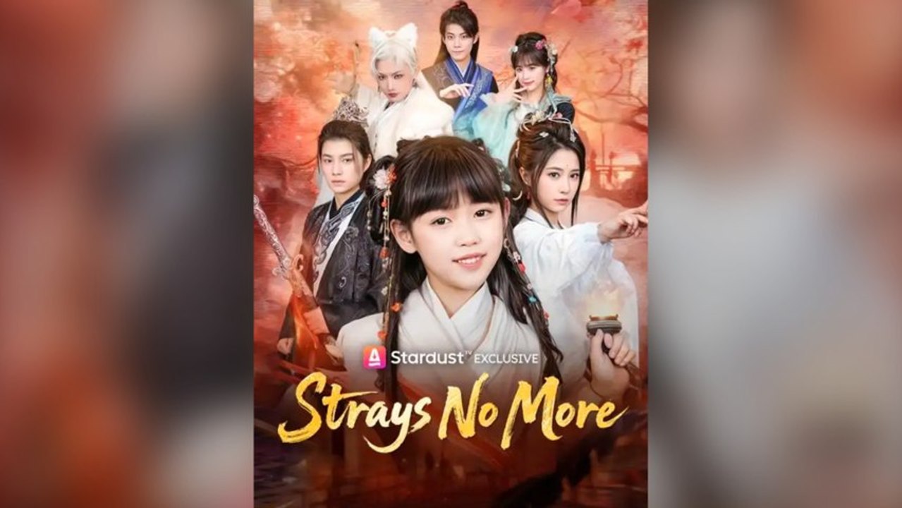 Strays No More
