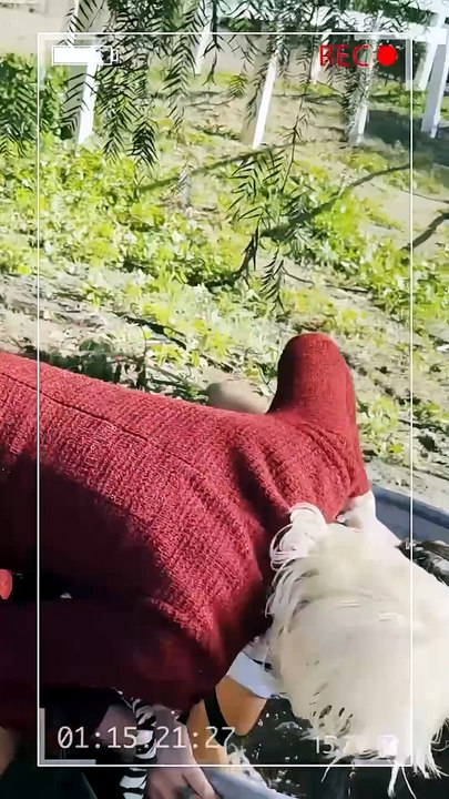 Dalla sposa dell'ordine della posta alla moglie del miliardario | Film Completo in Italiano