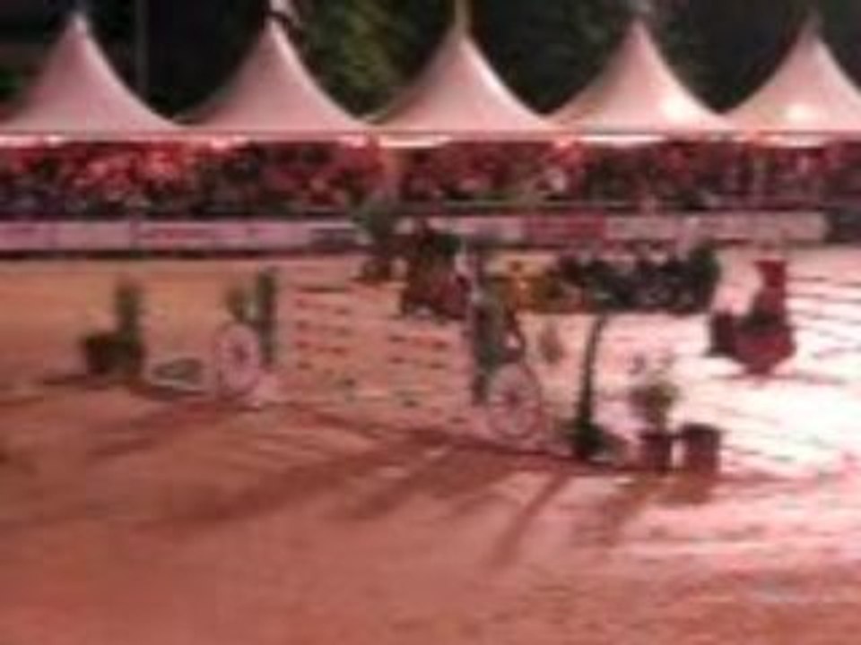 Jumping 022
