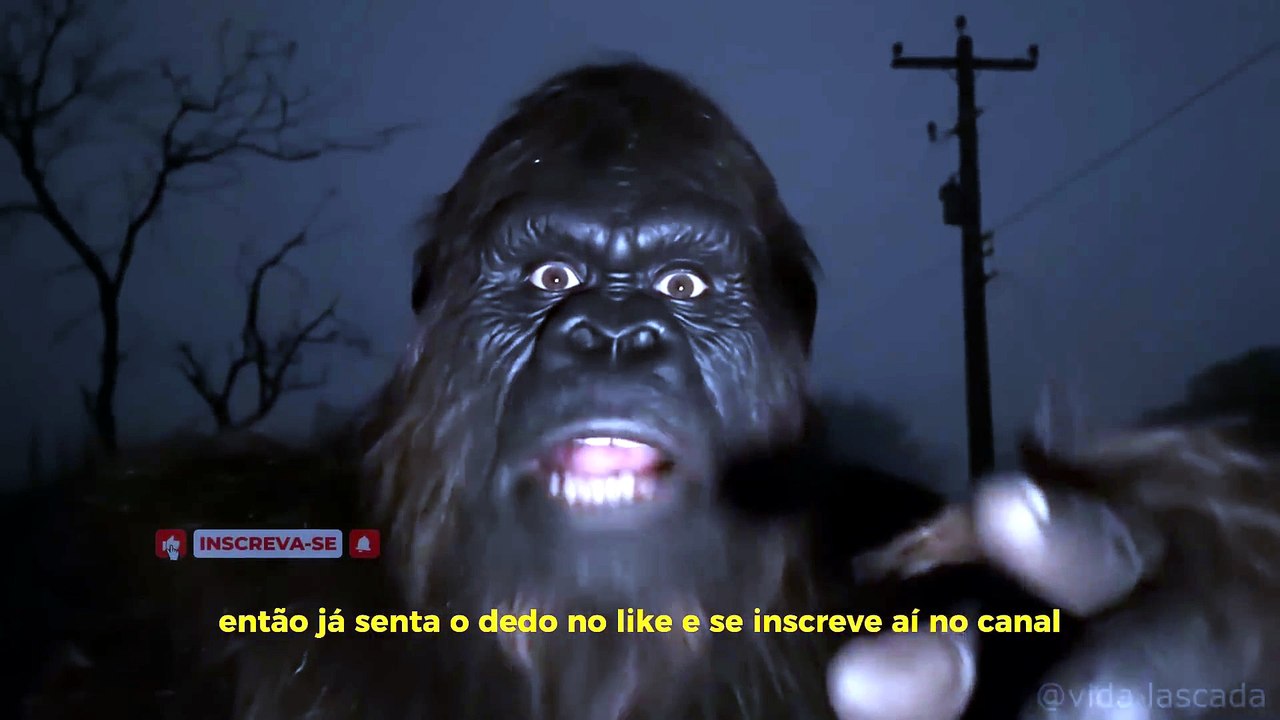 Pé grande foi atrás do Siren Head e se arrependeu!!😂😬#bigfootvlogs #pégrande #comédia #engraçado