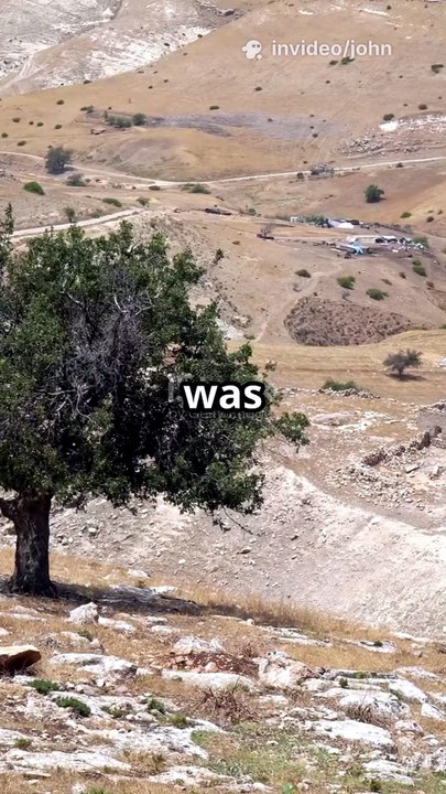 Old Testament's Tree of Dishonor