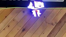 Who is this Mascot on 3D LED Hologram Fan Projector?