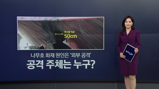 과거 한국 배 피격은 주로 '해적' 소행...나무호는? [앵커리포트] / YTN