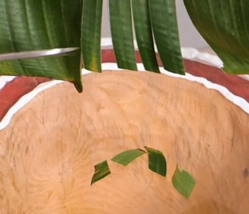 Transformez vos toilettes en un lieu de rêve ! Idées déco inspirantes