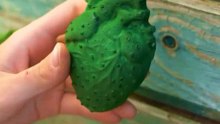 Techniques innovantes pour un jardin florissant !