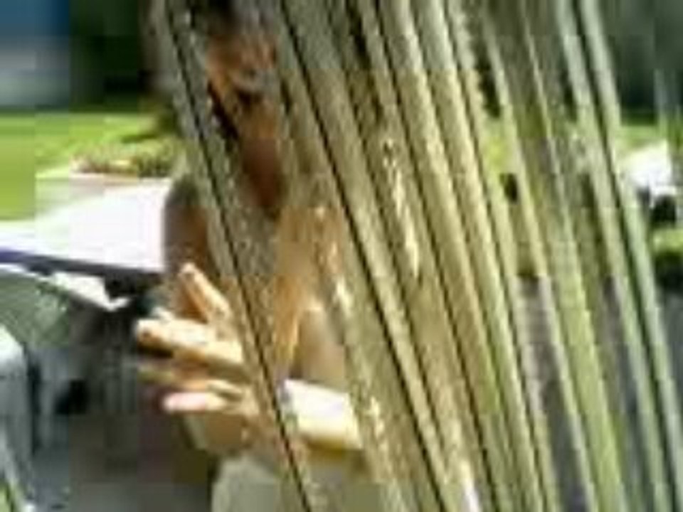 Vidéo-0008