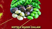 Mana yang Lebih Bau, Jengkol atau Pete?