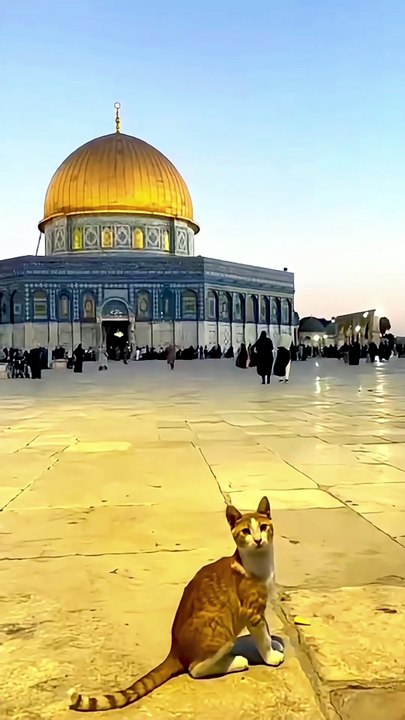 Al-Aqsa's call to prayer ❤️ Please like the video if you get it. 👍