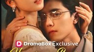 Happiness Begins On The Next Page Drama