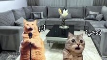 سوالف | ضحك وترند يومي 😹🔥