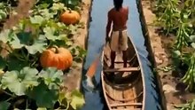 El método INDIGENA que hacía crecer COMIDA sobre el AGUA