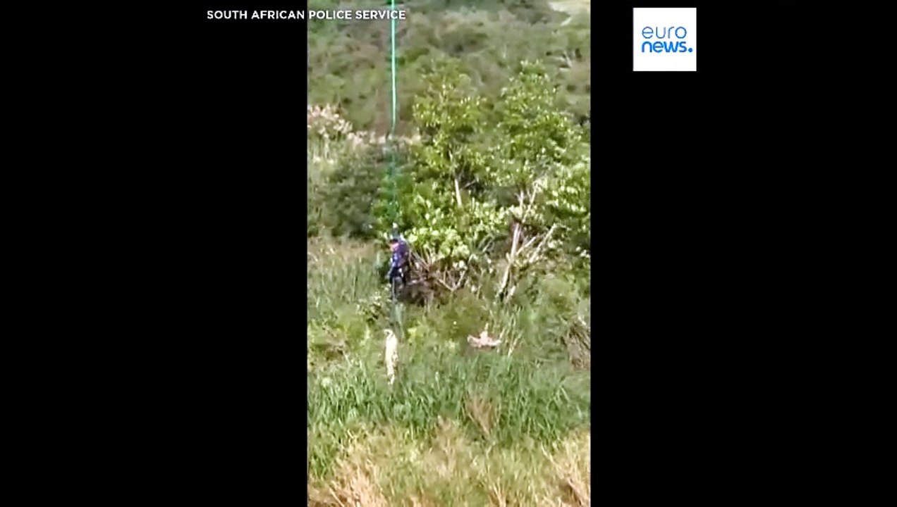 Überreste eines Portugiesen aus einem Krokodil in Südafrika geborgen