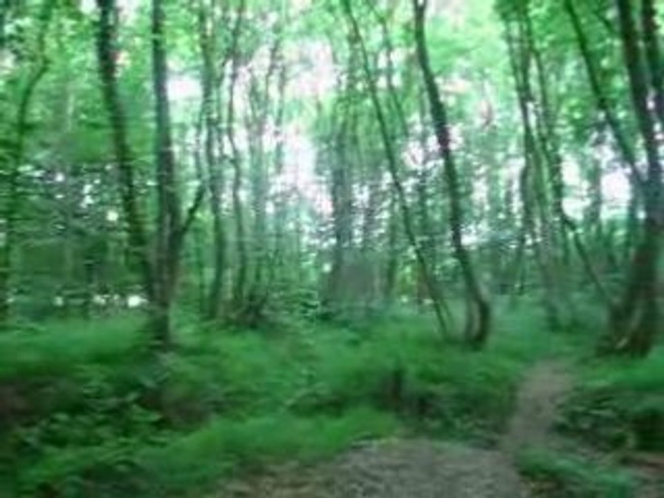 MVI_0238