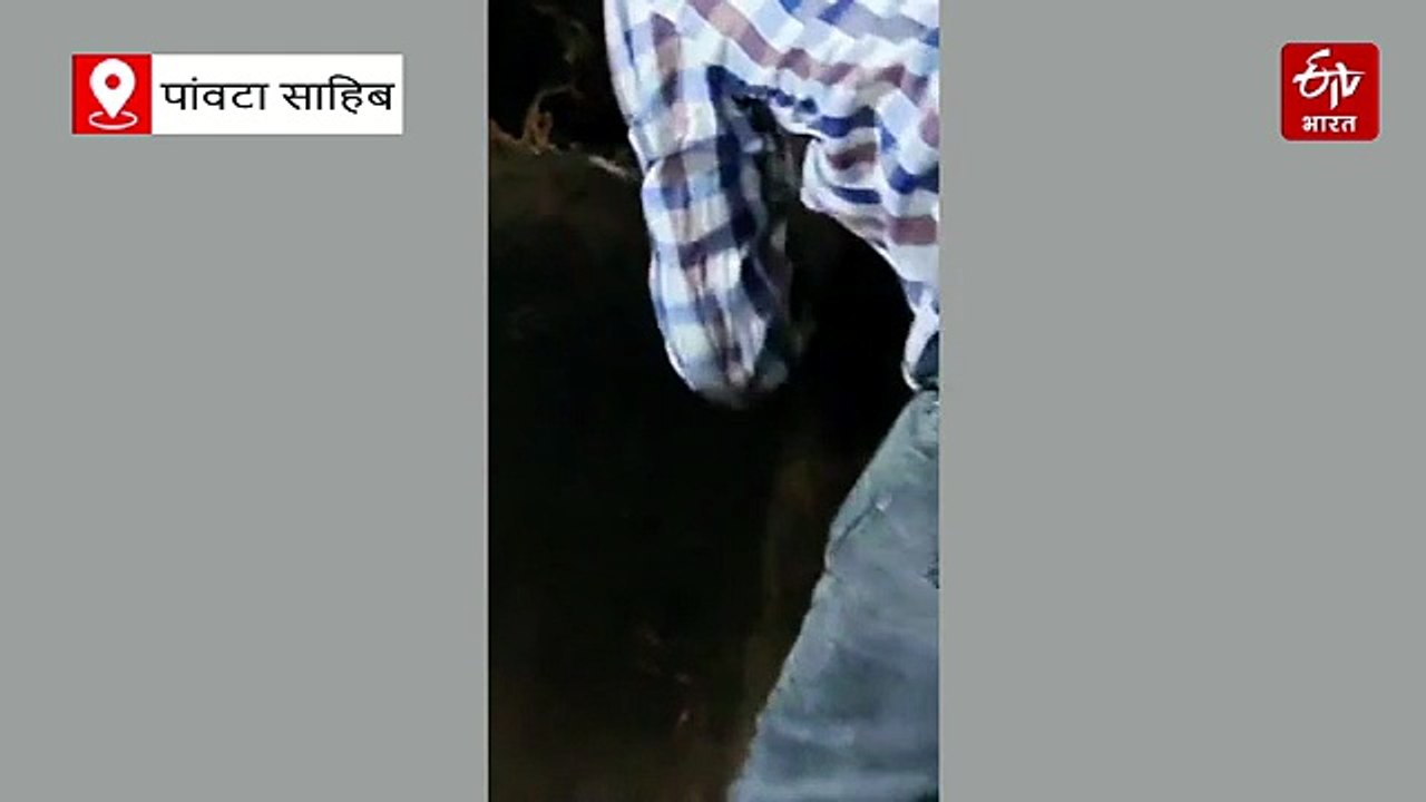 घर में डेरा जमाए बैठा था 7 फुट लंबा अजगर, कड़ी मशक्कत से किया रेस्क्यू
