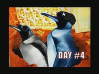 Festival fifi day 04 2008