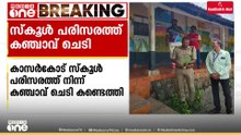 ആരും സംശയിക്കില്ലല്ലോ...; കാസർകോട്ട് സ്കൂൾ കോമ്പൗണ്ടിൽ കഞ്ചാവ് ചെടി കണ്ടെത്തി
