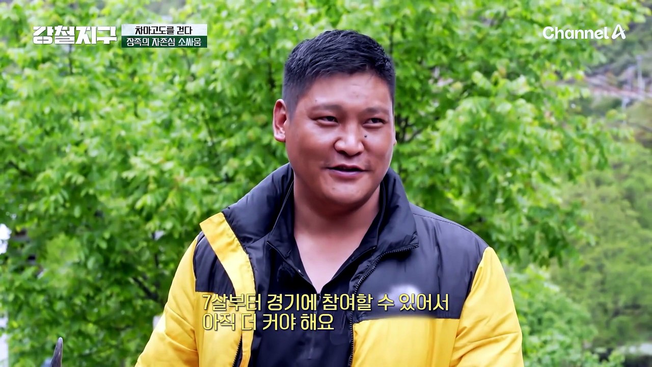 장족의 자존심 '소싸움'?! 다칭 씨의 싸움소 '분기'와의 만남