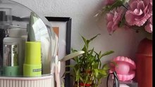 Hurry up search CODE in shein app Don't scroll without watch this 🚫