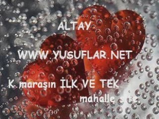 Adın çıkar deliye