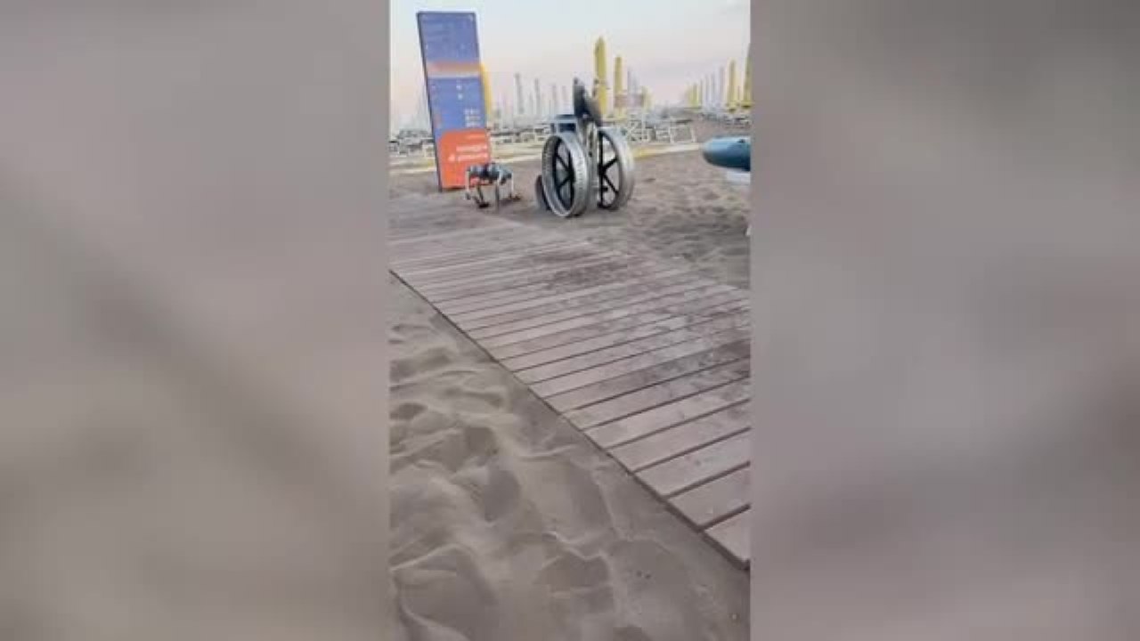 Caorle, il cane robot che accompagna i turisti agli ombrelloni