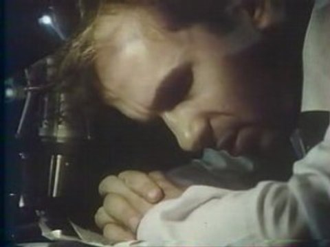 Kadhafi mon Amour 2ème partie