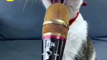 The Only Honey Video You Need To Watch Today!