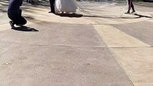 Un chien vole le voile de la mariée en plein shooting et s’enfuit en courant
