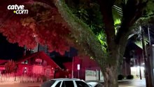 Motorista bate Gol contra árvore no Centro de Cascavel