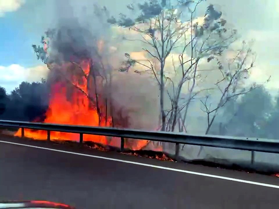 Rogo alle porte di Ploaghe in direzione di Tempio, le fiamme sfiorano la strada: paura per gli automobilisti