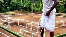 Turning Raw Bamboo Into A Million Dollar Parrot Mansion! 🤯 #shorts