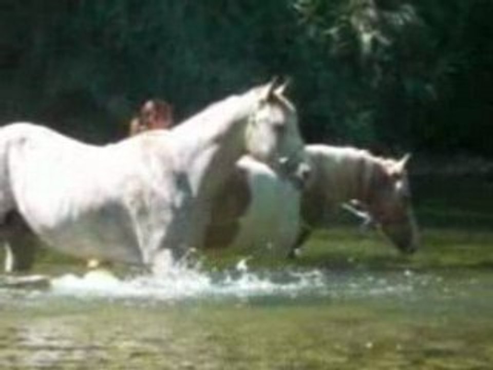 L'arroseur arrosé !