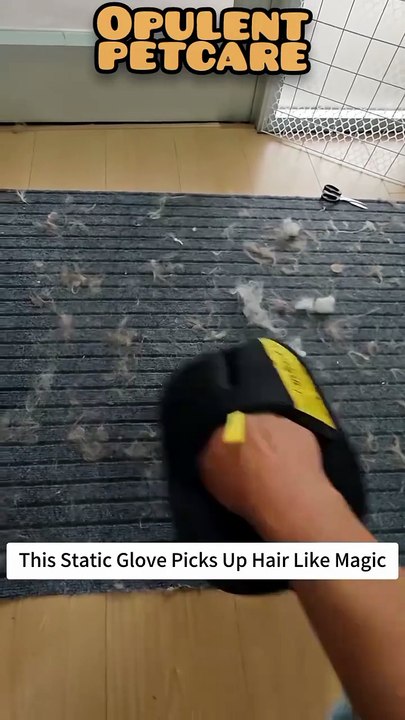 Pet Hair Removal Mitt