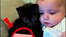😹 Baby Thought He Was the Star — Until the Tiny Kitten Proved Who the Real Boss Is! 👑🐾