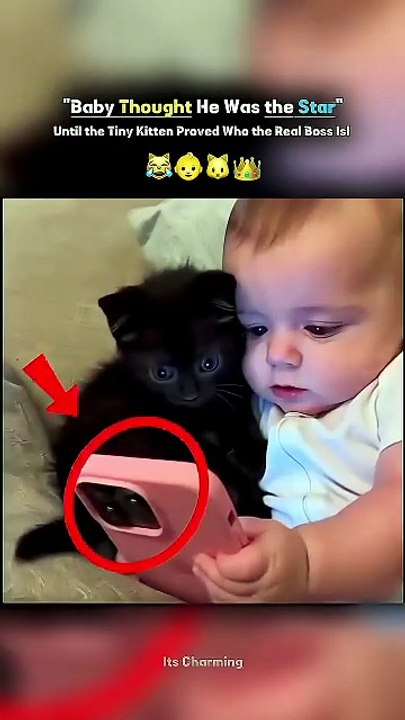 😹 Baby Thought He Was the Star — Until the Tiny Kitten Proved Who the Real Boss Is! 👑🐾