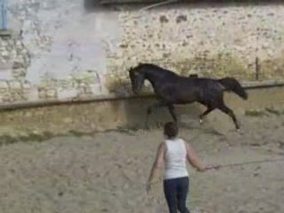 Sautliberté260608