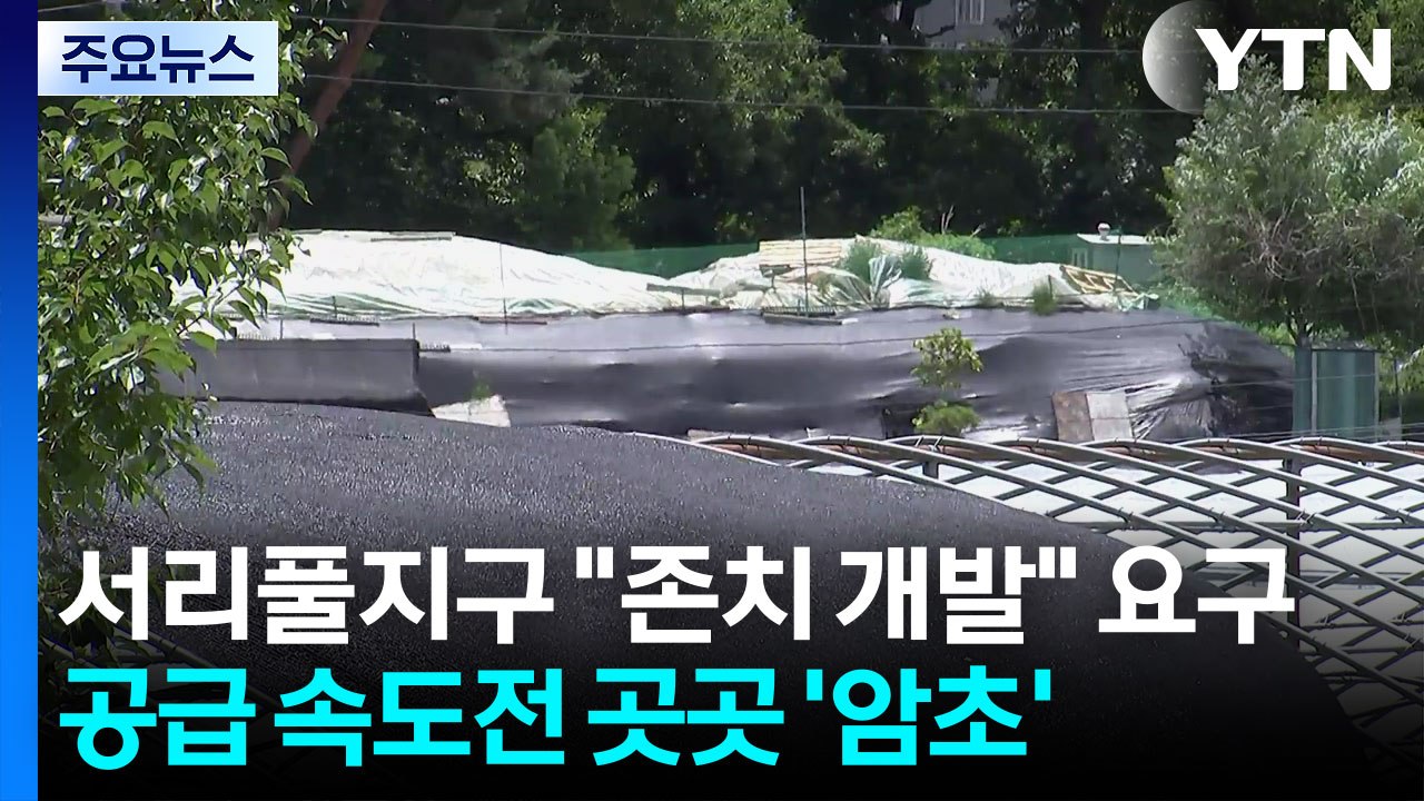 서리풀지구 "존치 개발" 요구...공급 속도전 곳곳 '암초' / YTN