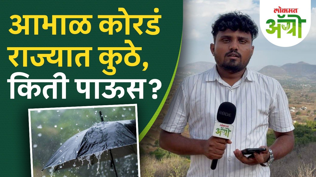Maharashtra Rain - पाऊस सुरू, धरणे अजून तळालाच; पिंपळगाव जोगा धरणाची स्थिती काय?