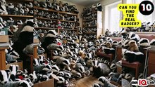 #YourEyesVsTheBadgers 👀⚔️🦡 Can You Find the Real Badger? 🦡
