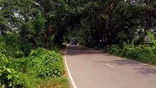 Bus in highway
