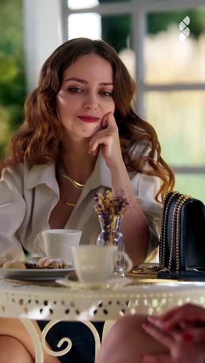 Womanizer Ceo's Hidden Fantasies HD 1080p ASH