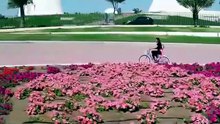 مسلسل كلام اصفر الحلقة 6