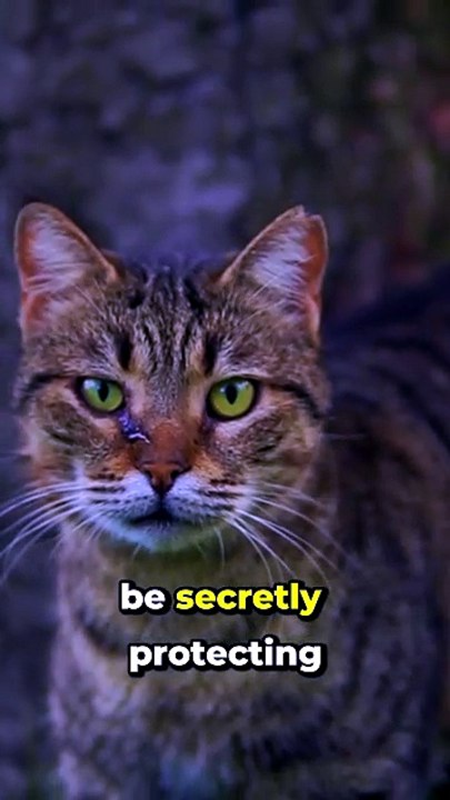 Your Cat Is Secretly Protecting You